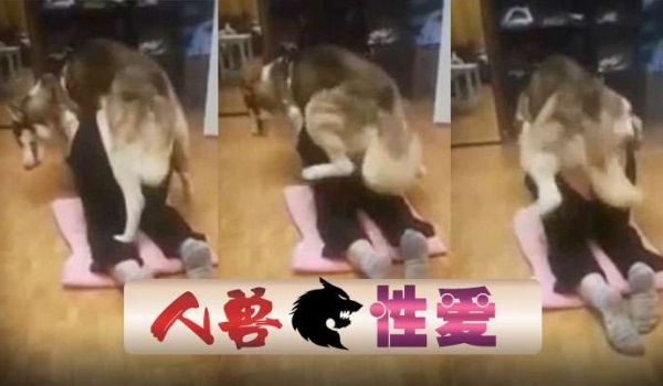 国产人兽狗狗后入抽插爽的有插了几次