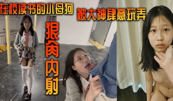 在校读书的小母狗被大神肆意玩弄狠肏内射