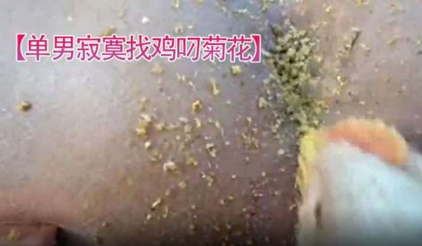 单男寂寞找鸡叼菊花菊花看起来好紧逼