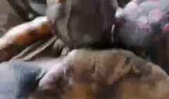 20209053744用户上传他妈的太牛逼了操乌