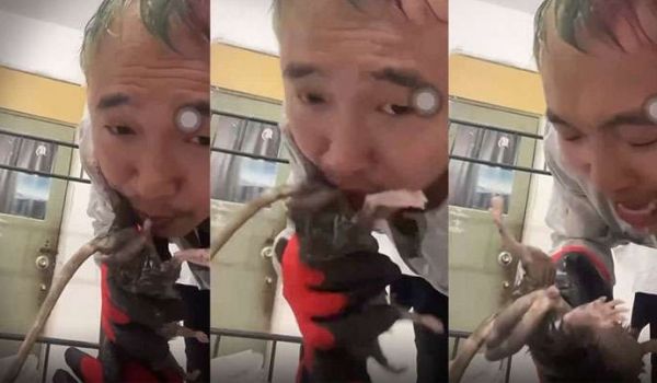 劲爆给老鼠口交什么奇葩性趣