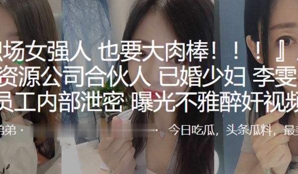上海人力资源公司合伙人已婚少妇李雯惨遭员工内部泄