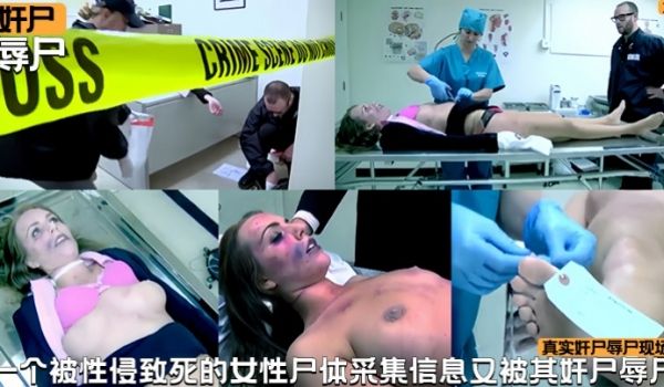 奸尸辱尸一个被性侵致死的女性尸体采集信息又被工作