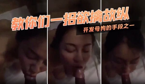 教.你们.一招.欲擒故.纵开.发母.狗的手.段之