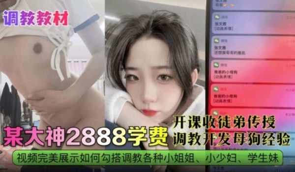 调教教材某大神调教开发母狗经验极品反差婊网红黑料