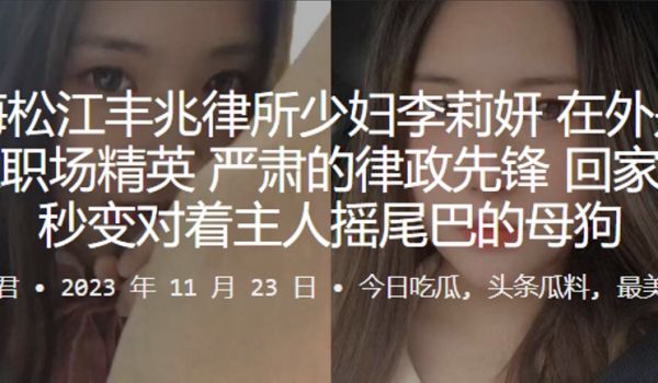 海松江.丰兆律.所少妇在外.是个干练.职场.精英