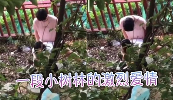 一段小树林的激烈爱情