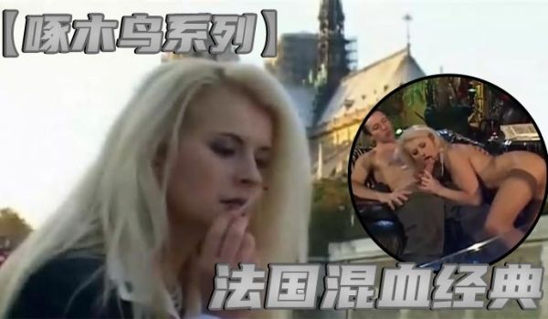 啄木鸟系列法国混血经典