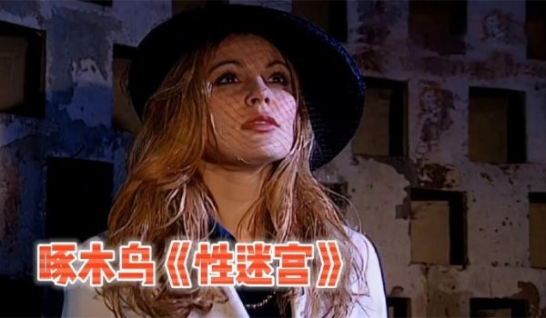 啄木鸟系列性迷宫