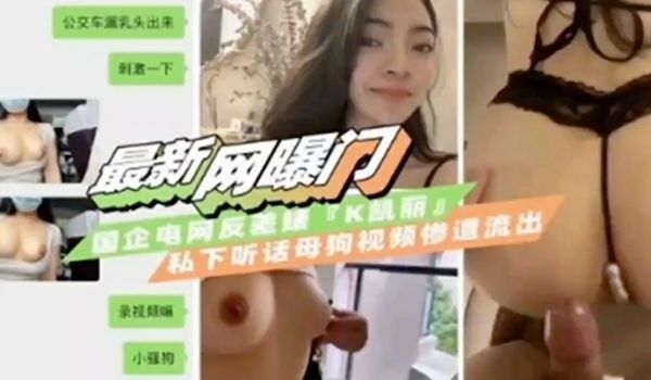 最新网曝门国企电网反差婊_私下对话母狗自拍不雅视