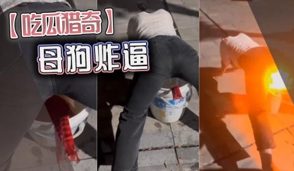 吃瓜猎奇母狗炸逼