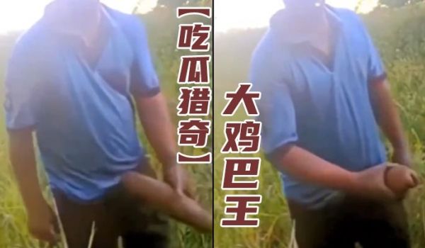 吃瓜猎奇大鸡巴王