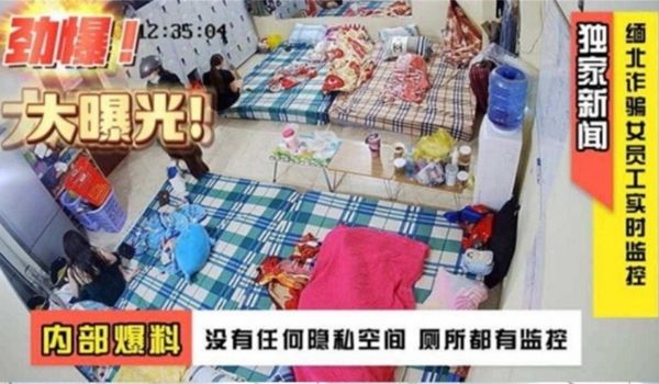 炸裂缅北大曝光独家新闻缅北诈骗女员工实时监控稀缺
