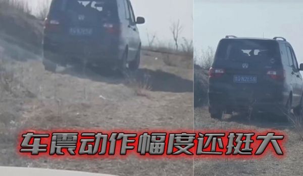 车震动作幅度还挺大