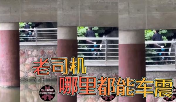 老司机哪里都能车震