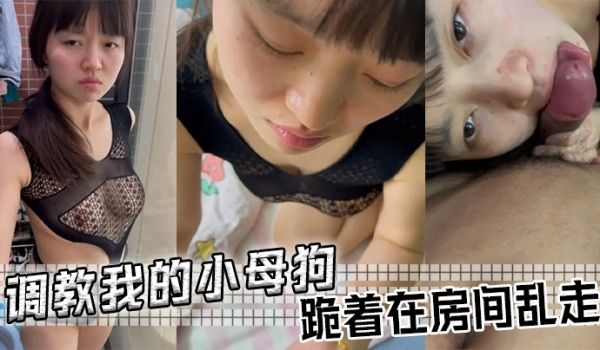调教我的小母狗跪着在房间乱走