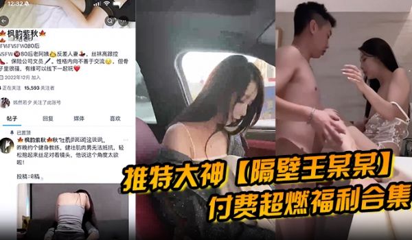 推特大神隔壁王某某付费超燃福利合集极品女神被调教