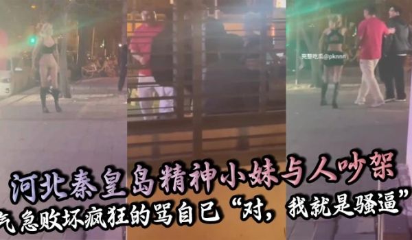 河北秦皇岛精神小妹与人吵架气急败坏疯狂的骂自己对