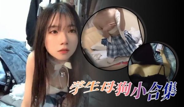 精选合集高颜值学生母狗小合集
