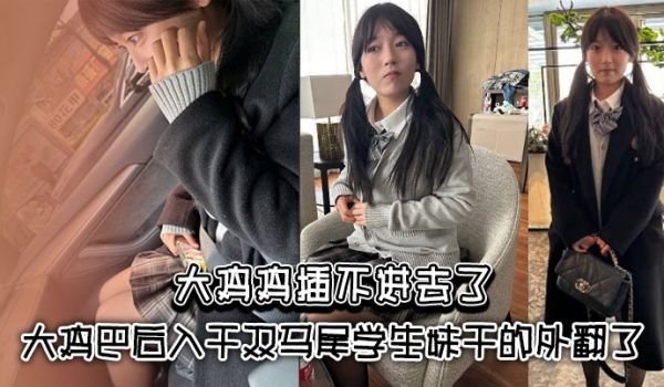 大鸡鸡插不进去了_大鸡巴后入干双马尾学生妹干的外