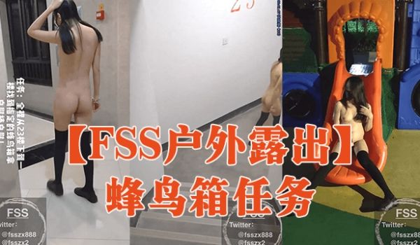 FSS户外露出蜂鸟箱任务