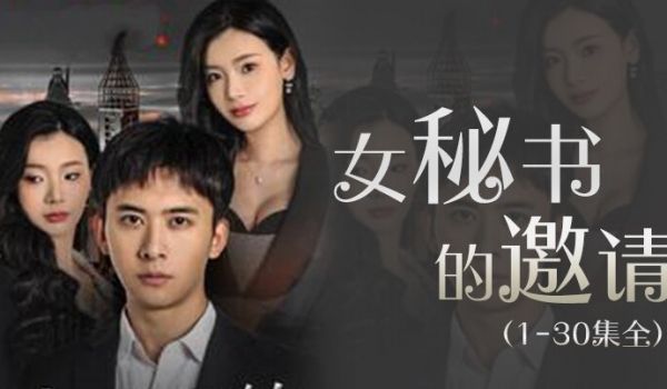 女秘书的邀请1-30集全