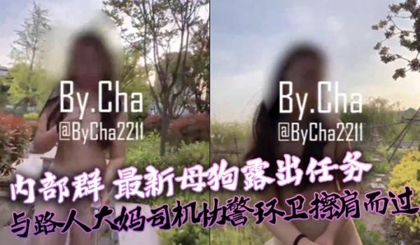 查小理内部群最新母狗露出任务与路人大妈司机协警环