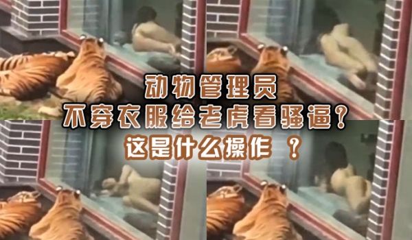 动物管理员不穿衣服给老虎看骚逼这是什么操作