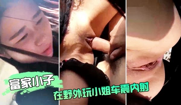 富家小子在野外玩小姐车震内射