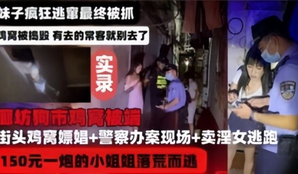 河北廊坊鸡窝被端实录妹子疯狂逃窜最终被捉