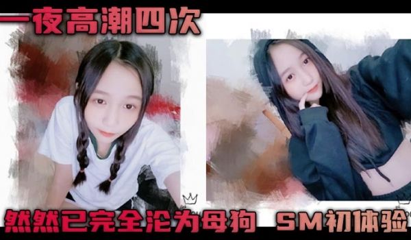一夜高潮四次然然已完全沦为母狗SM初体验