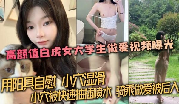 泄密流出高颜值白虎女大学生做爱视频曝光用阳具自慰