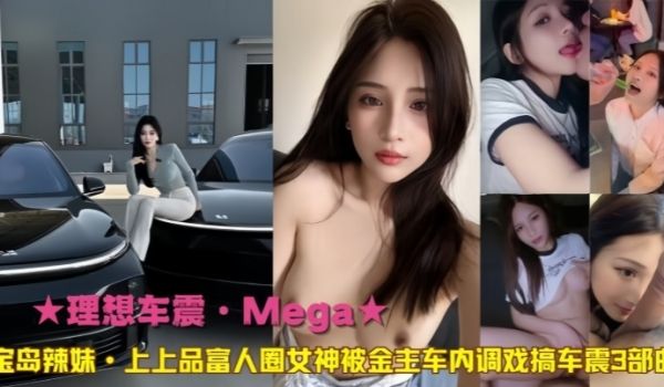 理想车震Mega宝岛辣妹上上品富人圈女神被金主车