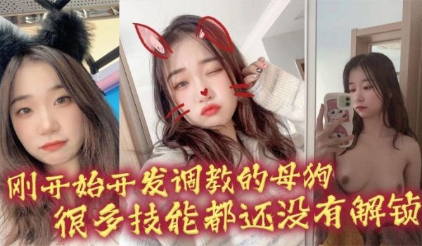刚开始开发调教的母狗 很多技能都还没有解锁