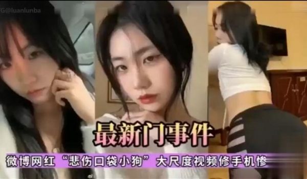 【网传最新门事件】微博网红悲伤口袋小狗，大尺度视