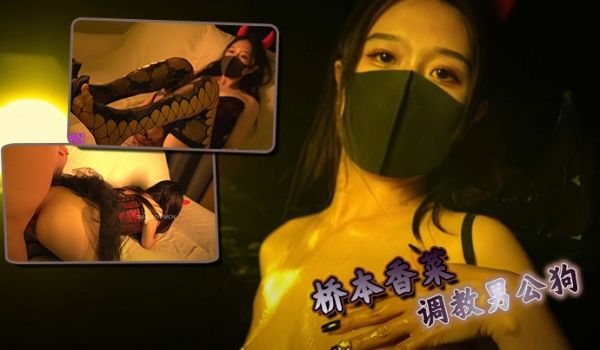 （桥本香菜） 调教男公狗
