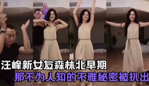 明星果然口味重汪峰新女友森林北早期那不为人知的不