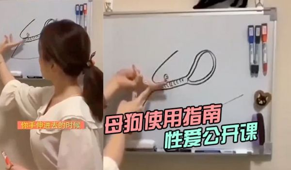 母狗使用指南性爱公开课