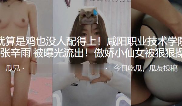 我就算是鸡也没人配得上咸阳职业技术学院母狗张辛雨