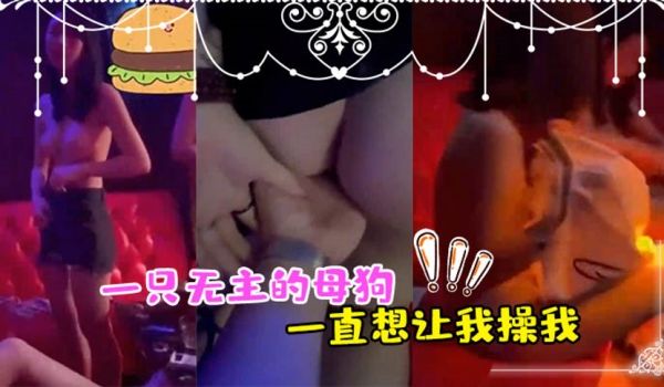 无主的母狗想让我操我高潮了2次最后让她舔干净