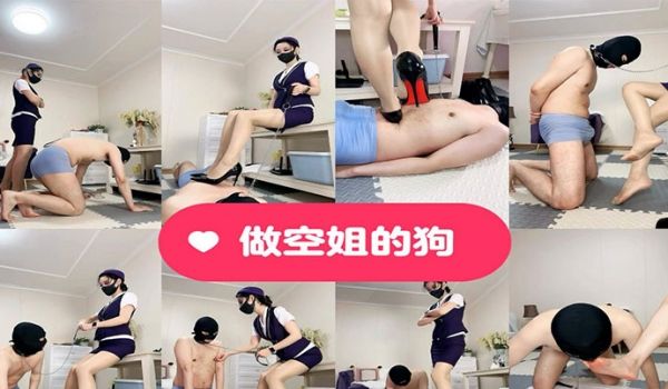 【SM女王】调教视频合集做空姐的狗