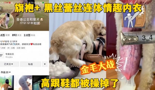 【金毛大战】抖音网红贱狗香香公主 旗袍+ 黑丝蕾