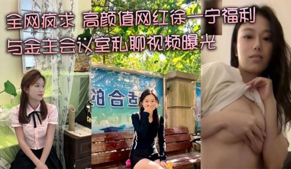 全网疯求 高颜值网红徐一宁福利 与金主会议室私聊