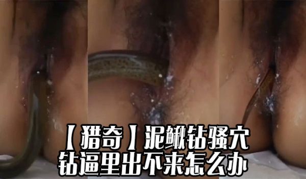 【猎奇】泥鳅钻骚穴，钻逼里出不来怎么办