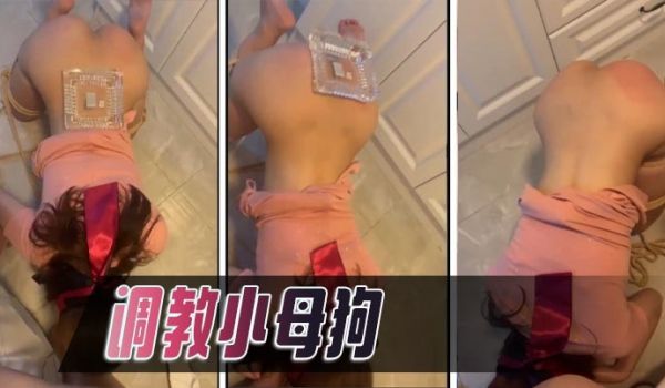 调教小母狗