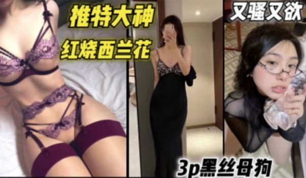 推特大神【红烧西兰花】约炮个个高颜值美女群p合集