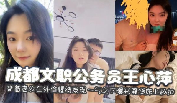 成都文职公务员王心萍 背着老公在外偷腥被发现 一